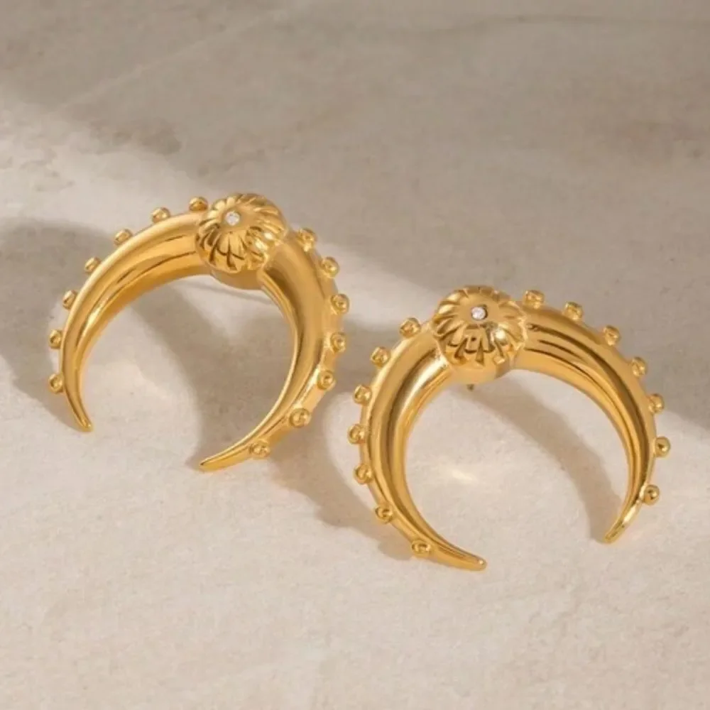 Statement earrings N737